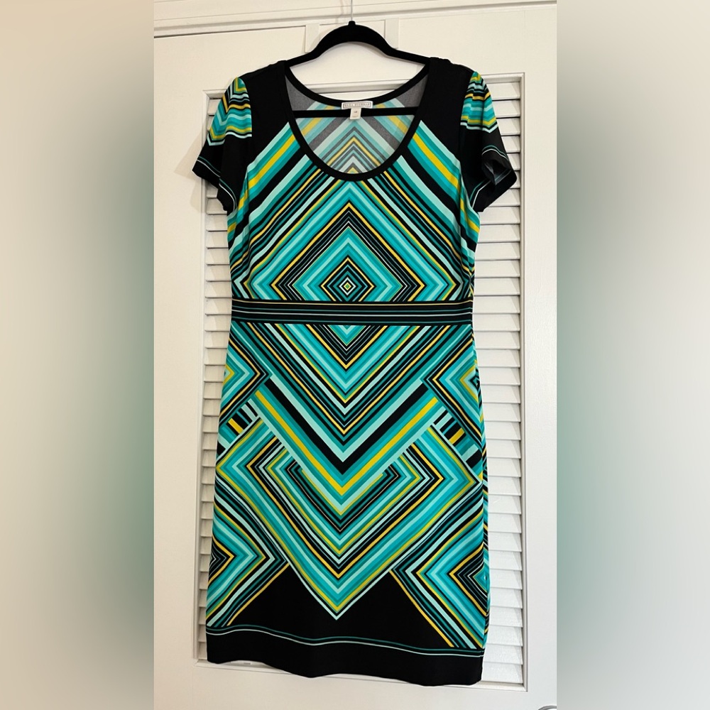 Dana Buchanan Knee Length Dress